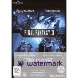 Final Fantasy XI 2008 edition